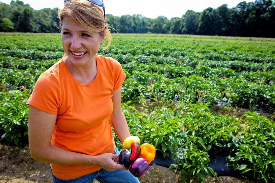 Massachusetts Seasonal Produce Chart