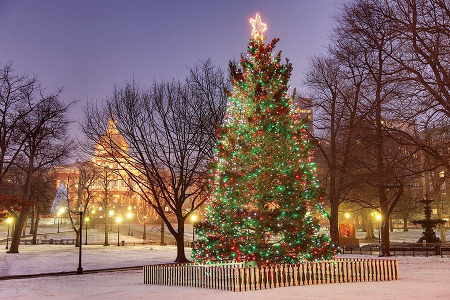 Boston Christmas Tree 2022 Photos Why Does Boston Still Accept A Christmas Tree From Nova Scotia?