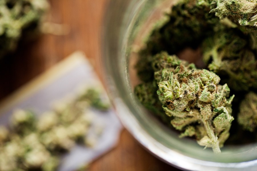 Northern Herb Owner Faces Prison for Unlicensed Medical Marijuana Business