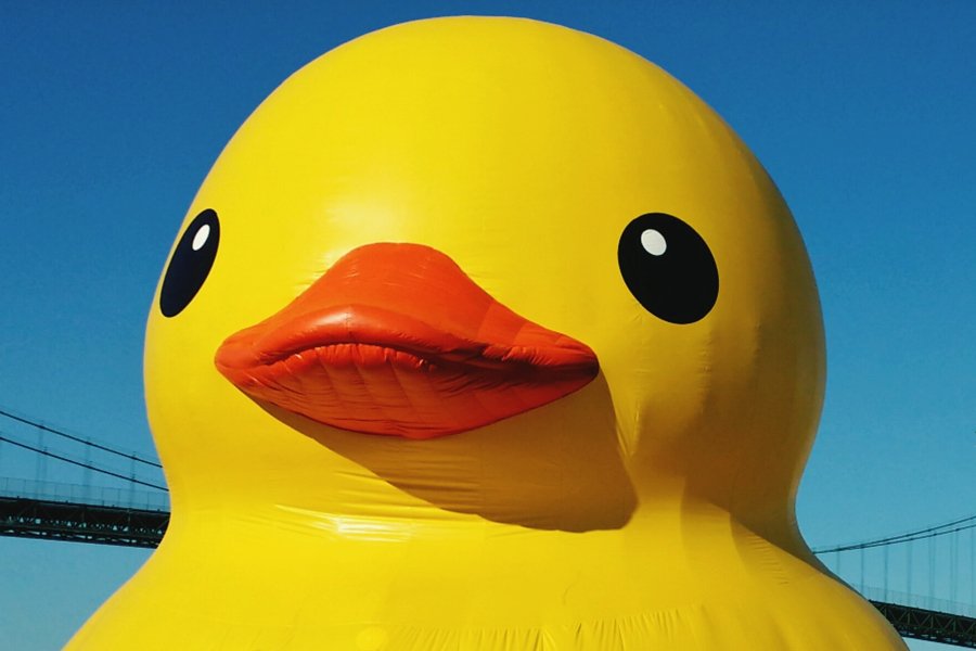 The World Is in Crisis; A Giant Rubber Duck Is in Maine